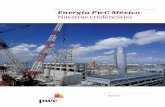 Energía PwC México Nuestras credenciales · 2 Nuestras Credenciales Energía Quiénes somos Como la industria energética es verdaderamente global, con operaciones dinámicas y