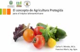 El concepto de Agricultura Protegida - mag.go.cr · • En Costa Rica esta agroindustria está iniciando y no se dispone de ... El concepto de Agricultura Protegida Preguntas y comentarios