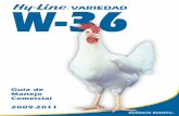 Coml 36 SP 07-31-09 - grupomotta.com W36.pdf · Parásitos Externos ... Las aves deben ser alojadas a las 17 semanas de edad, antes del comienzo de la madurez sexual. Recomendaciones