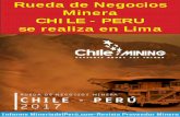 Rueda de Negocios Minera CHILE - PERU se realiza en …mineriachile.com/portafolio/307ruedanegos.pdf · auxiliares, servicios de estimación de recursos y reservas mineras, entre