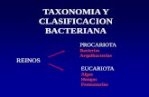 TAXONOMIA Y CLASIFICACION BACTERIANA · Bacilos gram positivos aerobios Listeria spp Bacillus anthracis Bacilos gram positivos anaerobios Clostridium spp Actinomyces spp . Principales