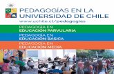 cod. 11522 - Universidad de Chile · Educación Parvularia Grado Académico: ... Integradas. Otro aspecto ... actividades prácticas, el uso de tecnologías educativas y el