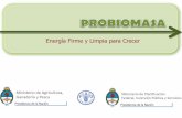 Energía Firme y Limpia para Crecer - energia.gov.ar · BOLSA DE CEREALES, CABA 26 de octubre de 2012 Ministerio de Planificación Federal, ... valor a la producción agropecuaria,