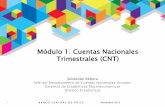 Módulo 1: Cuentas Nacionales Trimestrales (CNT) · agregaciones de balances o estados financieros. Las cuentas nacionales de Chile se rigen por el SCN (Sistema ... Las CNT conforman