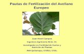 Pautas de Fertilización del Avellano Europeo - trofar.cltrofar.cl/doctos/avellano/Fertilizacion_del_Avellano_Europeo).pdf · Rol del suelo como aporte de nutrientes a los frutales.