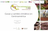 Cacao y cambio climático en Centroaméricaforocacao.com/media/activity/cacao-y-cambio-climatico-centro... · con el clima húmedo actual de la región Atlántica de Centroamérica