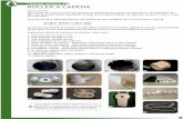 Sistema manual ROLLER A CADENA - Printemps - Lonasprintemps.com.ar/imagenes/Roller_a_cadena_manual.pdf · Actúa como filtro solar y calórico, aislando los rayos UV y reduciendo