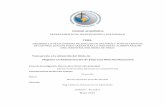 UNIDAD ACADÉMICA - Repositorio PUCESA: Página de …repositorio.pucesa.edu.ec/bitstream/123456789/1429/1/75860.pdf · UNA INDUSTRIA MOLINERA DE TRIGO ... también se desarrolla