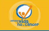 La problemática del Cáncer en el Perú: una visión … · 2014-03-13 · PESO DEL CANCER A NIVEL MUNDIAL EN LA ACTUALIDAD. ... América del Sur (Templada) Caribe Incidencia de