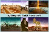 Simbología - editoriallapaz.org para... · Israel sale de Egipto, cruzando el Mar Rojo. (2) Lecciones para el tiempo presente “Y estas cosas les acontecieron como ejemplo, y están