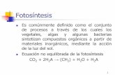 Fotosíntesis · Fotosíntesis Es comúnmente definido como el conjunto de procesos a través de los cuales los vegetales, algas y algunas bacterias ... Las reacciones de la fase
