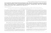 REVISTA ARGENTINA DE ANTROPOLOGÍA …scielo.org.ar/pdf/raab/v14n1/v14n1a03.pdf · en los grupos cazadores recolectores pampeanos de esa etapa existió una división en las tareas