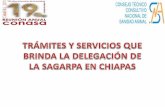 TRÁMITES Y SERVICIOS - conasamexico.org.mxconasamexico.org.mx/conasa/2011_docs_19a_reunion/... · Registro de unidades de producción avícola para Aviso de Movilización. ... •
