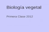 Biología vegetal - ecaths1.s3.amazonaws.comecaths1.s3.amazonaws.com/catbioveg/1138678429.1ra clase 2012... · programa de biologia vegetal 1. generalidades 2. caracteres citologicos