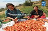 Informe Anual 2011/2012 · 2018-08-24 · Fondos Fiduciarios Temáticos del Pnud: rápidos, flexible y eficaces.....24 embajadores de ... 4 Pnud inForme anual 2011/2012 según un