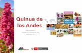 Sierra Exportadora Congreso de la República del Perú …quinua.pe/wp-content/uploads/2015/12/Quinua... · Congreso de la República del Perú 10 Setiembre 2015 • Quinua en el