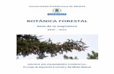 Guía de Aprendizaje BotanicaForestal 2010 2011… · Guía de la asignatura 2010 – 2011 ... EL Plan de Estudios del Grado en Ingeniería Forestal (P.E. GIF) asigna a ... el que