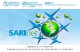 Presentación de PowerPoint - sarinet.org 2/MAY24 840AM - 850AM... · de influenza en 2007 •La vigilancia centinela de influenza se ... Toma, manejo y envío de la muestra de Laboratorio
