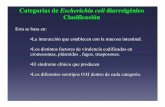Categorías de Escherichia coli diarreigénico Clasificaciónecaths1.s3.amazonaws.com/ebcunne/977948696.Clase E coli... · Áreas de riesgo de diarrea del viajero asociada a ETEC