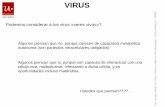 VIRUS - microbioblogueando.files.wordpress.com · Los virus que afectan a las bacterias pueden realizar un ciclo lisogénico (integrar su AN al AN de la bacteria) o bien un ciclo