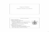 Órganos hematopoyeticos y linfoides IV: órganos …organografia.unileon.es/html/PDF/Organos hematopoyeticos y... · 3 Órganos linfoides •Tejidos y órganos linfoides en la filogenia