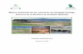 Mejora ambiental de las marismas de Gautegiz-Arteaga ... · El proyecto tiene por objeto la mejora ambiental de las marismas de Orueta, Baraizpe y Nekesolo, en el municipio de Gautegiz-Arteaga