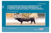 Subproductos de agroindustria y comercio - … · Introducción CAPÍTULO I ... Residuos de la agroindustria azucarera en la producción de carne vacuna Punta o cogollo de caña de