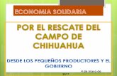 4 de mayo de 2017. - Expo Agro Chihuahua 2017 · Investigación Básica Desarrollo de Productos Investigación de Mercados Hortalizas Invernaderos Agrícolas MODULOS DE INVERNADEROS.