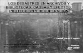 LOS DESASTRES EN ARCHIVOS Y BIBLIOTECAS: CAUSAS Y EFECTOS ... · LOS DESASTRES EN ARCHIVOS Y BIBLIOTECAS: CAUSAS Y EFECTOS, PROTECCIÓN Y RECUPERACIÓN Javier Tacón Clavaín Huelva.