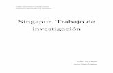 Singapur. Trabajo de investigaciónsites.cardenalcisneros.es/omardelacruz/wp-content/uploads/2013/12... · persona de la junta directiva de APHISA, centro de atención temprana de