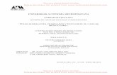 UNIVERSIDAD AUTÓNOMA METROPOLITANA …148.206.53.84/tesiuami/UAMI15429.pdf · El Desarrollo del Subdesarrollo: Lumpenburguesía y Lumpendesarrollo. (André Gunder Frank) 76 1.8.1