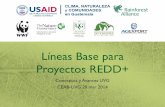 Líneas Base para Proyectos REDD+ - Ministerio de … · ubicación del cambio de uso de la tierra y se ha entrenado al modelo LCM Idrisi •Desafortunadamente LCM no es aconsejado