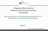 Programa Nacional de Restauración de Ecosistemas … · obras de conservación de suelos. ... producción de planta. • Las obras y prácticas para controlar los procesos erosión