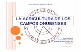 LA AGRICULTURA DE LOS CAMPOS ONUBENSES - …4+LA... · - 80’, 90’: Expansión de los campos de fresas, interior del Condado y Costa Occidental - Actualidad: 1ª productora de
