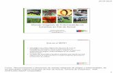 Agentes causales de enfermedad - INIA · 24-04-2014 Curso: “Reconocimiento y elementos de manejo integrado de plagas y enfermedades, de los principales cultivos hortícolas de Pan