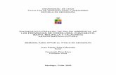 DIAGNOSTICO ESPACIAL DE SALUD AMBIENTAL DE LAS PROVINCIAS DE …repositorio.uchile.cl/tesis/uchile/2006/uribe_j/sources/uribe_j.pdf · 9.4 Análisis espacial de la calidad de la vivienda