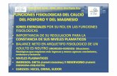FUNCIONES FISIOLOGICAS DEL CALCIO DEL FOSFORO Y …idim.com.ar/blog/wp-content/uploads/2013/05/clase-8-de-mayo.pdf · fisiológicas que requieren más ingresos y menos egresos: ...