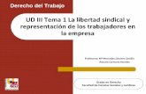 UD III Tema 1 La libertad sindical y representación de los ...umh1444sp.edu.umh.es/wp-content/uploads/sites/601/2015/02/UD-III... · DE LOS TRABAJADORES EN LA EMPRESA 3. ... Art.