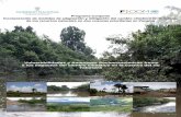 Prroogrr aamma CCoonnjjuunttoo Inccoorrppoorracci … rio... · CARACTERISTICAS DE LAS VIVIENDAS EN LA CUENCA DEL RÍO ... Población Analfabeta en la Cuenca del Río Tabasará ...