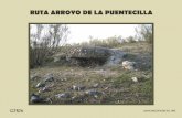 RUTA ARROYO DE LA PUENTECILLA - …asociacioncierzo.net/wp-content/uploads/2016/04/ARROYO-DE-LA... · permanecer seco durante largos periodos de tiempo, recorren unos 4 kilómetros
