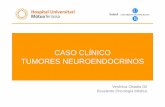 CASO CLÍNICO TUMORES NEUROENDOCRINOS - … · CASO CLÍNICO Carcinoma Neuroendocrino diseminado con M1 hepáticas Abril 2010: Primera Visita Oncología • Octreoscan: Captación