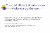 Curso Multidisciplinario sobre Violencia de Género · Entrevista libre, semiestructurada, seguida de preguntas ... cadena de custodia. Guia de Procedimiento para la Entrevista Única