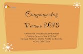 Campamentos Verano 2015 - La Sierra · Entrega de diplomas DÍA DE VERBENA PUESTOS DE FERIA Y GRAN FIESTA DE DESPEDIDA PISCINA ALMUERZO DESCANSO Concurso de dibujos, literarios. Campeonatos