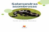 Salamandras asombrosas - despegando-hacia-la …despegando-hacia-la-lectura.com/wp-content/uploads/sites/2/2018/04/... · Todas las salamandras ponen huevos en el agua. Los huevos