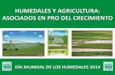 HUMEDALES Y AGRICULTURA: ASOCIADOS EN PRO DEL … · DÍA MUNDIAL DE LOS HUMEDALES 2014 HUMEDALES Y AGRICULTURA: ... • Pueden utilizarse en las adaptaciones que prepare del PPT