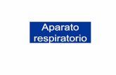 Aparato respiratoriodocentes.educacion.navarra.es/ralvare2/aparato... · 2010-04-16 · El aparato respiratorio oxígeno a sangre y en último término se produce la oxigenación