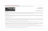 Endodoncia - UNICIEOunicieo.edu.co/revistaodontos/Odontos42/Alternativa_de_tratamiento.pdf · controles de seguimiento con intervalos de tres me-ses con el fin de determinar la vitalidad