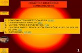FONÉTICA HISTÓRICA: CONSONANTES. - Diariumdiarium.usal.es/joluin/files/2013/03/foneticahistoricaconsonantesg... · José Luis Herrero Ingelmo Departamento de Lengua Española5.