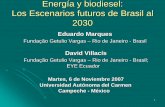 Energía y biodiesel: Los Escenarios futuros de Brasil al 2030 · zConsiderando el precio del aceite de soya ... zSub-productos: glicerina, torta para la alimentación animal zCompetencia
