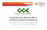 Agenda del desarrollo y productividad de México - imef.org.mximef.org.mx/CDMexico/descargas/Simposium2013/4junio/6CCE.pdf · sustentabilidad financiera y operativa ... la vigencia
